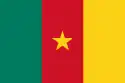 Flag of Cameroon