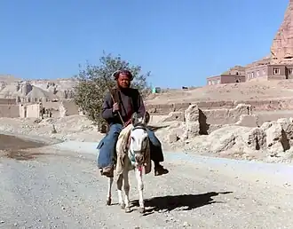 Dehkan man (Bamyan)