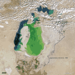 Aral sea