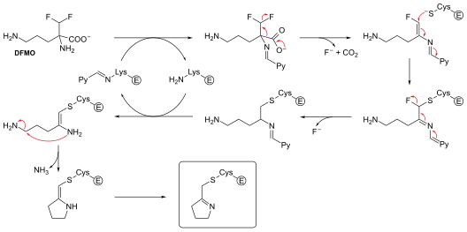 Example of a reversible inhibitor forming an irreversible product.