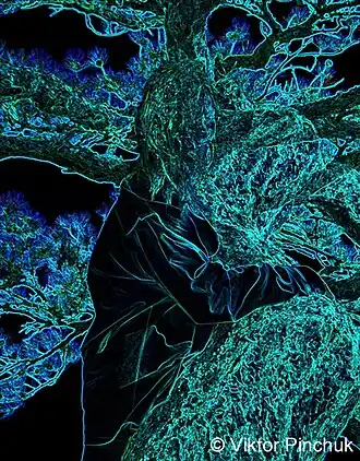 In the emerald darknes (Photoart)