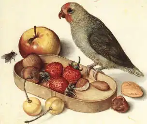 The true program: 15.1 Kb