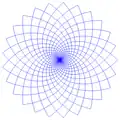 Discrete coordinate system in a circular disc that can easily be expressed in log-polar coordinates (n = 25)
