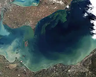 A 2011 Algae Bloom in Lake Erie, similar to the 2014 Bloom.