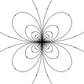 Model of dynamics inside a 2 petals flower (quadrupole)