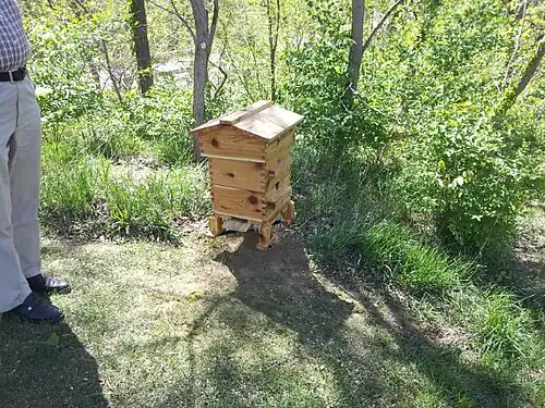 Basic Warré Hive