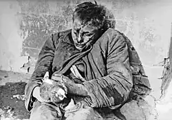 Viktor Cherevihkin, a Soviet teenager killed by German troops occupying Rostov for keeping pigeons, 28 November 1941