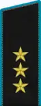 Colonel General