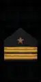 знак мпс 1973