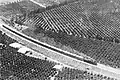 Train passing through Rehovot orchards 1939