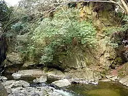 Uchi River Rock Carvings