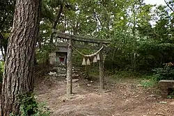 Small wooden cat shrine surrounded by greenery on Tashirojima