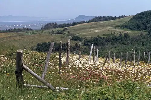 Fatima, Butte du Vent (Hills)[19]