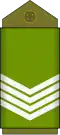 Premier sergent (Land Forces of the DR Congo)