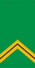 Sergent (Malian Army)[76]