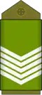 Sergent major (Land Forces of the DR Congo)