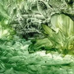 Mother Nature_109S05NG, 3.3"x4"