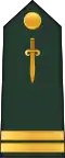 Lieutenant (Central African Ground Forces)