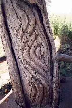 Wiradjuri carved tree, Grave of Yuranigh. c. 1850