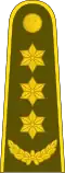 Pulkininkas'[13] (Lithuanian Land Forces)
