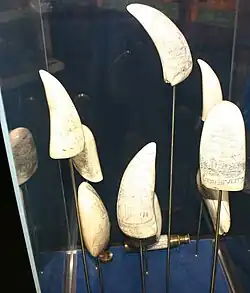 Small collection of scrimshaw, Smithsonian Scrimshaw Collection