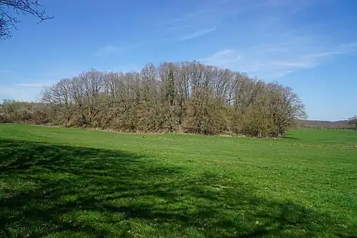 End of the spoil heap.