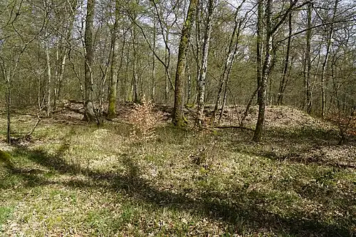 Distant view of the spoil heap.