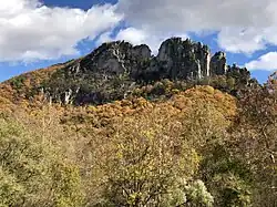 Rocky cliffs extending above a forested hill in fall colors