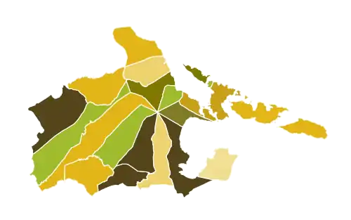Results of 2019 Vice Mayoral Elections in Albay by Municipality and City