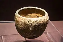 A bowl in a museum case