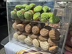 A plastic display case showing various conchas.