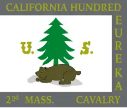 Digital reconstruction of the flag carried by Hattie Reed[7]