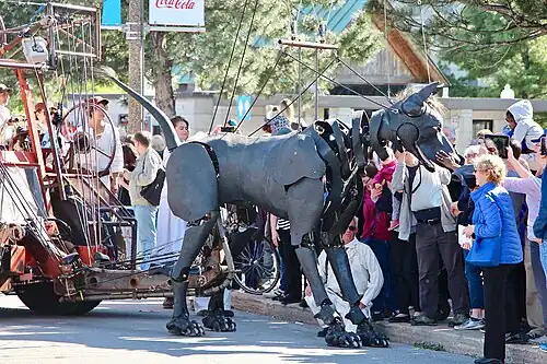 Xolo the dog, Montreal, 2017