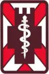 Shoulder Sleeve Insignia, 5th Medical Brigade
