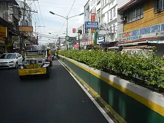 60Elpidio Quirino Avenue Parañaque City 04.jpg