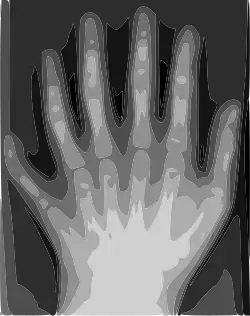 Traced with Potrace in Inkscape to an eight-color SVG image in 2006 (50 KB)