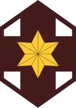 Shoulder Sleeve Insignia, 804th Medical Brigade