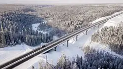 The highway in Priozersky District of Leningrad Oblast. Smorodinka River (Volchya tributary)&nbsp;[ru] flows beneath the bridge on the 46th km of the route.