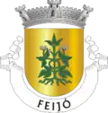 Coat of arms of Feijó