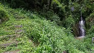 Rock-hewn stairs leading to a village near Thalisain. Freshwater springs are abundant in the region.