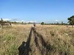 A field of dry, overgrown grass with a single rusty metal cross grave marker in the center. In the background is a low stone wall and trees under a clear blue sky. The long shadow of the person taking the photo is visible in the foreground.