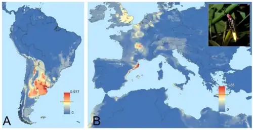 Modelling the areas colonizable by Photinus signaticollis in South America, Europe and North Africa.