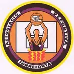 Associacio Deportiva Torreforta logo