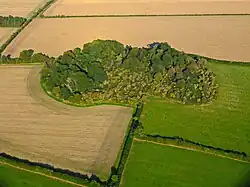 Aerial view of a copse of woods on a hilltop, surrounded by ploughed fields
