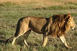 National Zoological Gardens of Sri Lanka