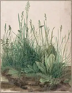 Large Piece of Turf (1503), watercolour and gouache w/highlighting, 40,8 × 31,5 cm, Albertina