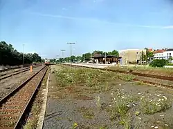 The overgrown platform of tracks 4 and 5