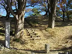 Futagoyama Kofun