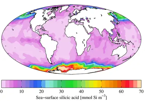 Concentration of silicic acid in the upper pelagic zone,[121] showing high levels in the Southern Ocean