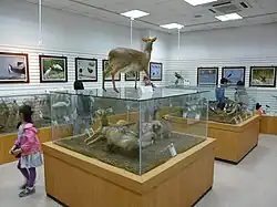 Inside the Ecosystem